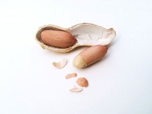 Erdnuss